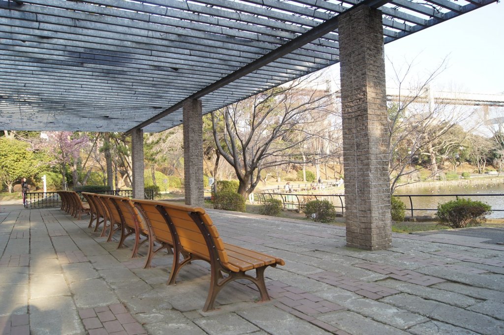 鮮