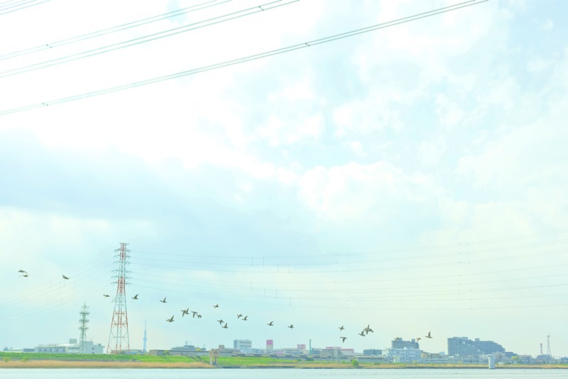 空へ行く