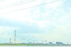 空へ行く