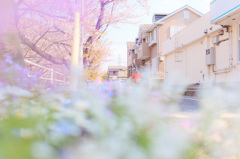 春町に続け