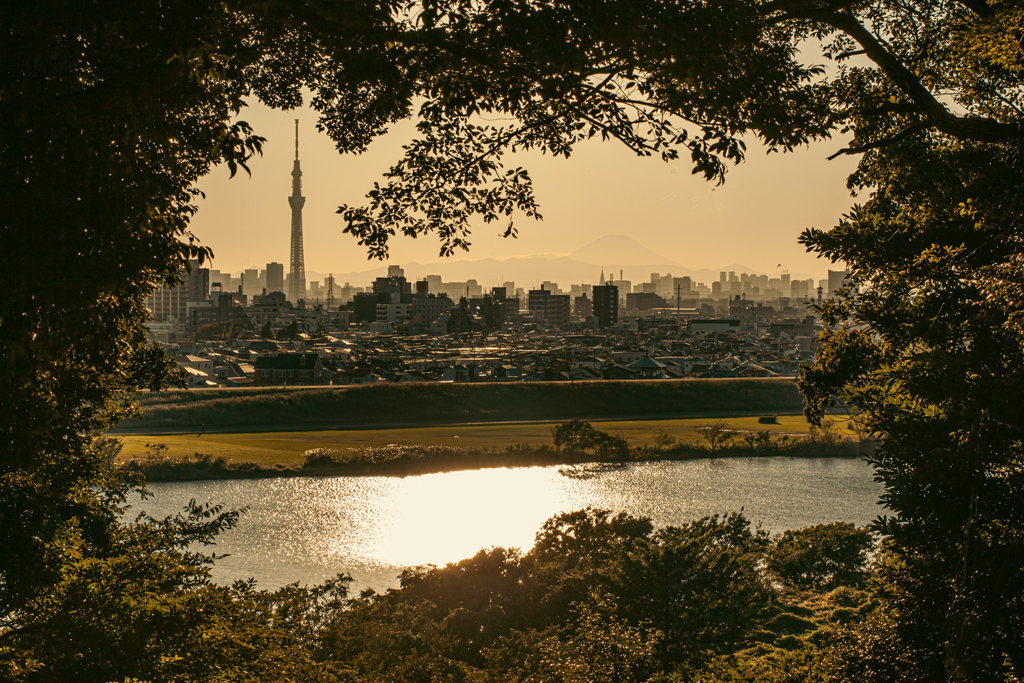 夕陽の街。