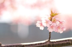 到来