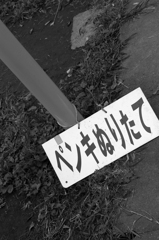 ぬりたて