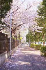 花道