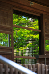 写り木