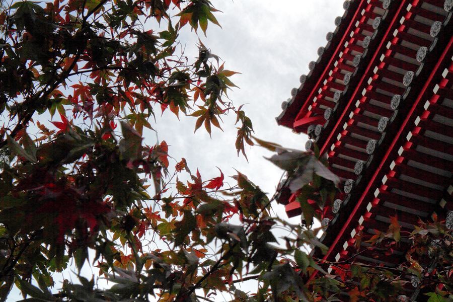 紅のとき