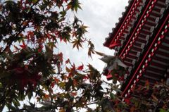紅のとき