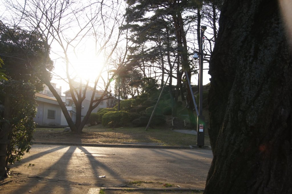 陰
