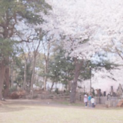 風に