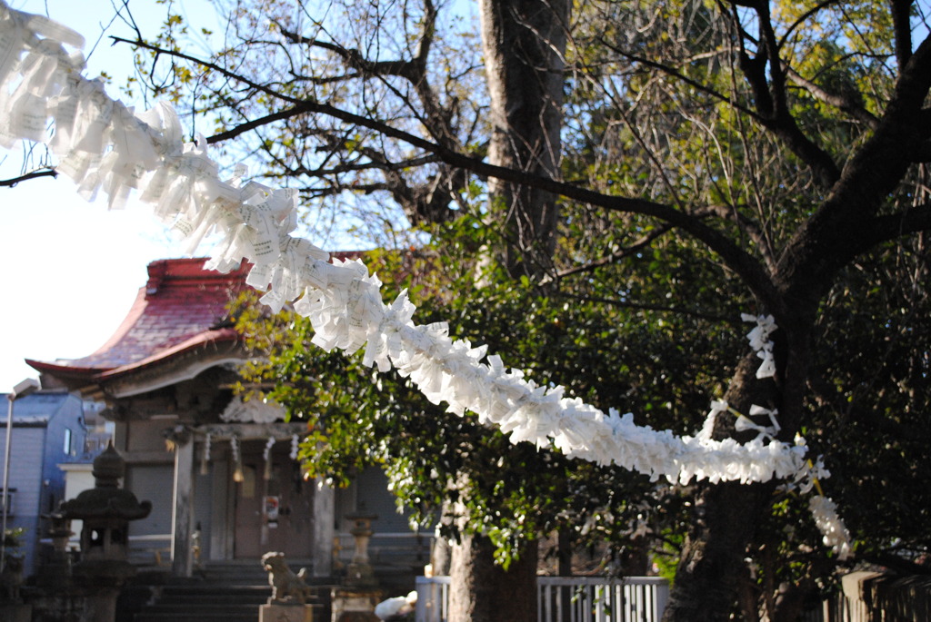 初春の祈願