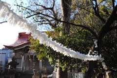 初春の祈願