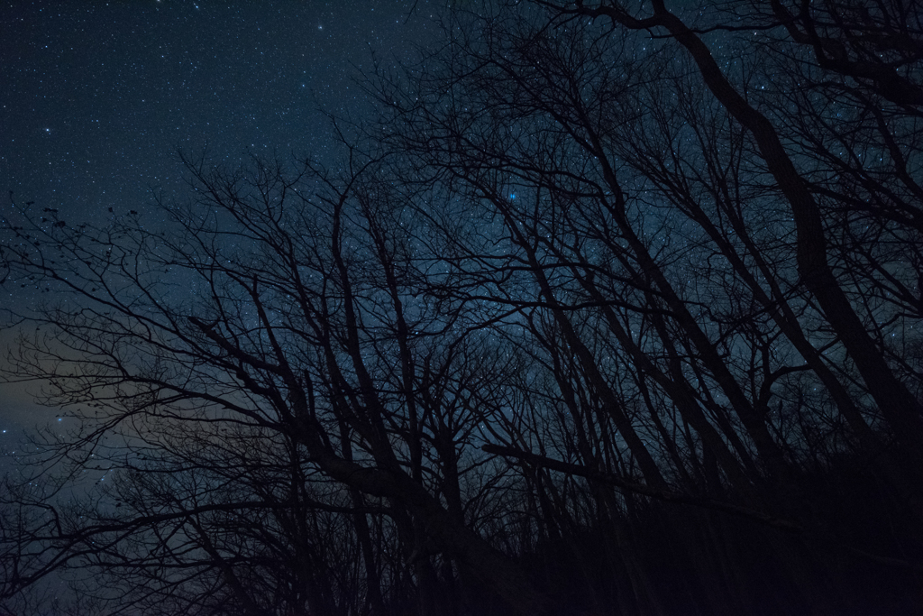 木漏れ星