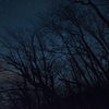 木漏れ星