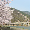 朝の嵐山