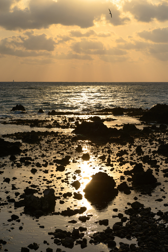 夕方の日本海