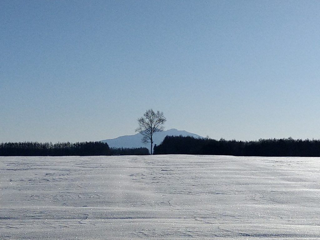 毎朝みる風景。