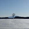 毎朝みる風景。