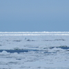 流氷オホーツク（2）