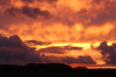 燃える夕焼け