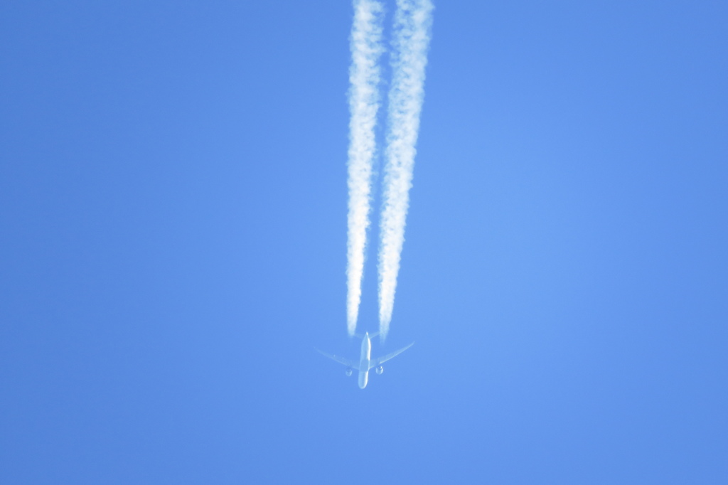 大空へまっしぐら。