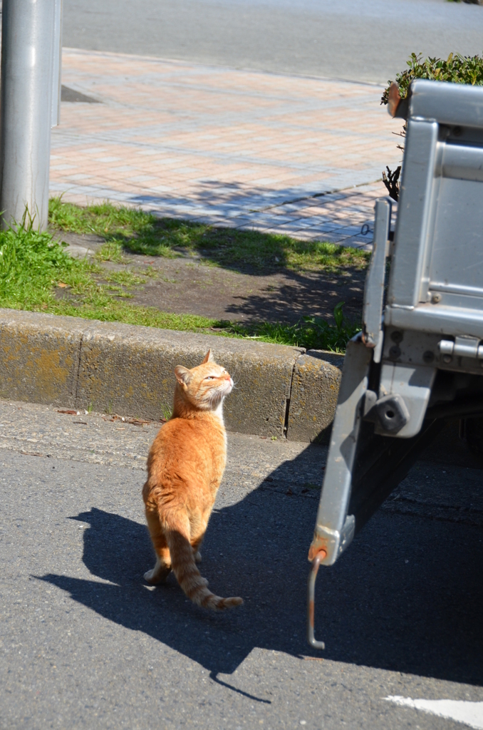 気になるの