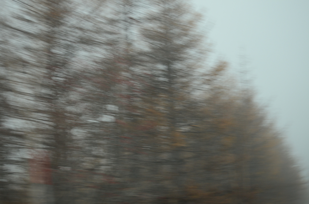 DSC_2241