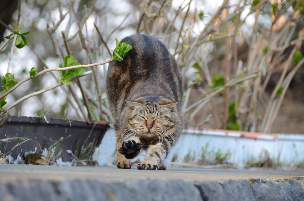 ふぃぃーーーっ