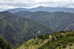 利賀村の山々