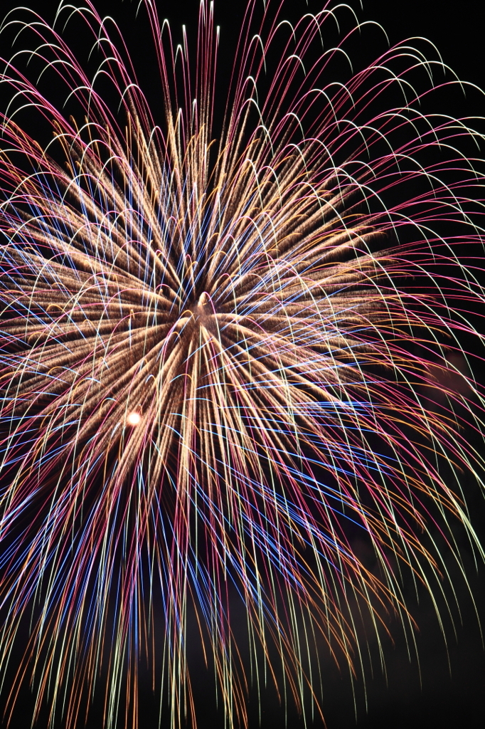 夜空キャンバス