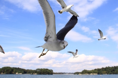 視線の先にはかっぱえびせん