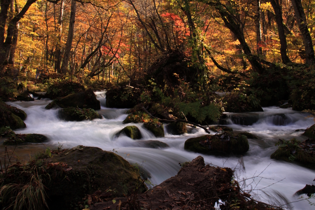 奥入瀬渓流の流れ～こってり秋色仕立て～