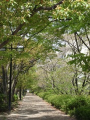 R0011146