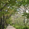 R0011146