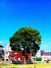 青と緑と赤と黄色