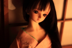 (SD)264