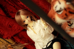 (SD)239