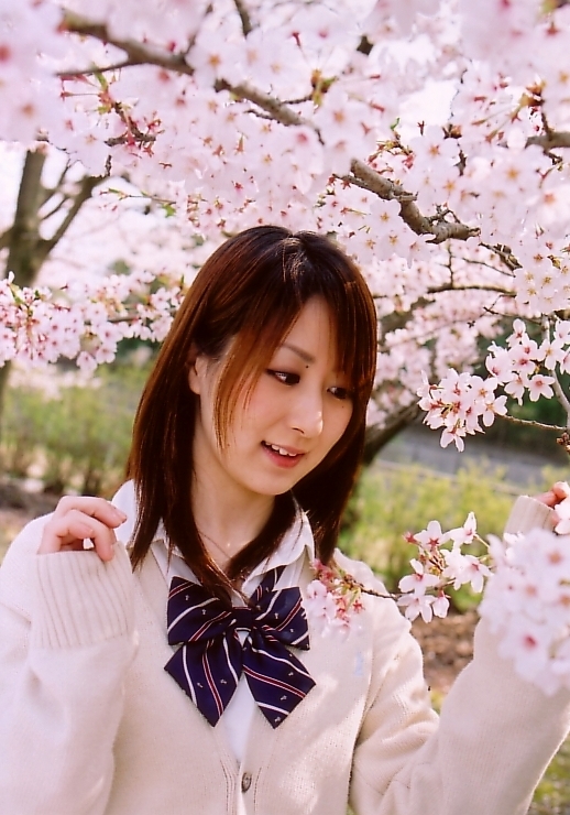 桜の園にて（２）