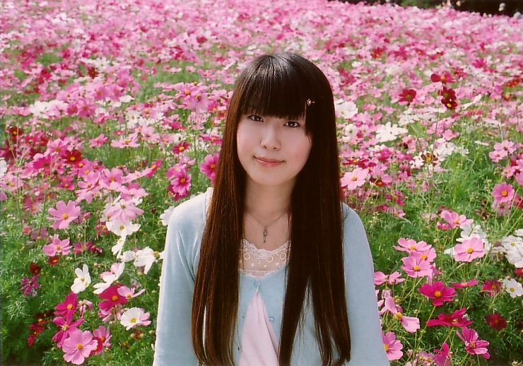 秋桜（１）