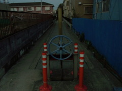 RIMG0619