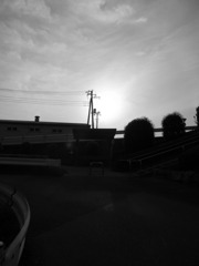 RIMG0012