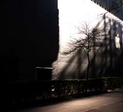 アップルと影