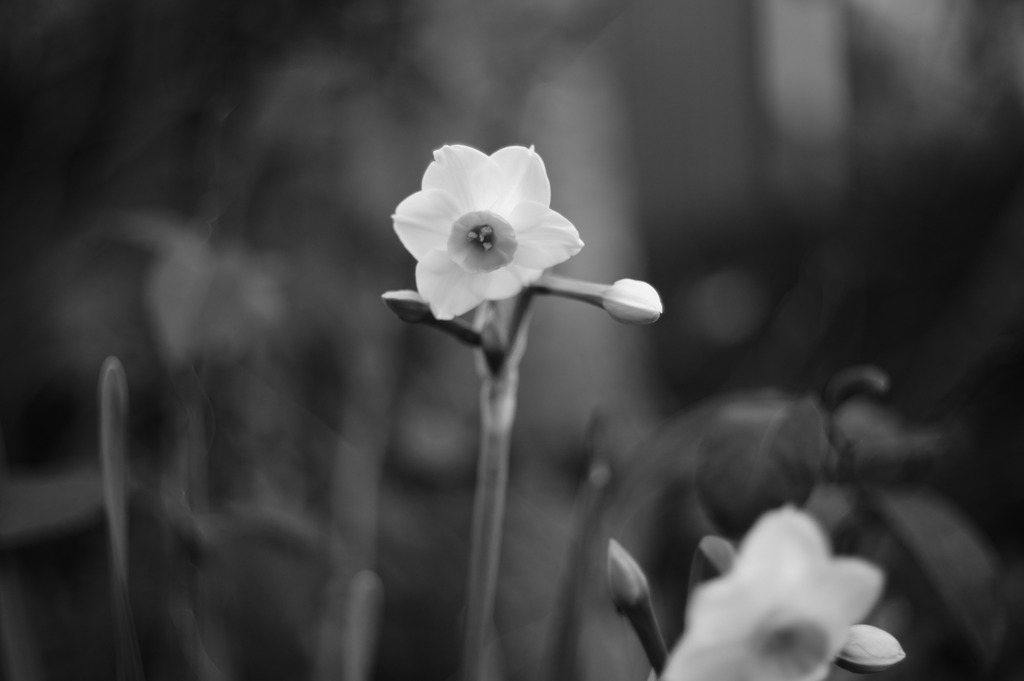 DSC06614