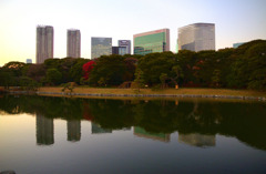 浜離宮恩賜庭園(HDR)