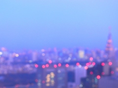 夜景