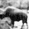 水滴