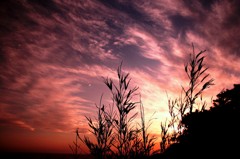 夕日