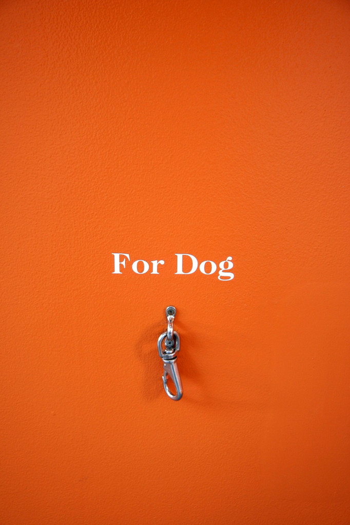 For Dog