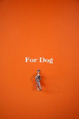 For Dog