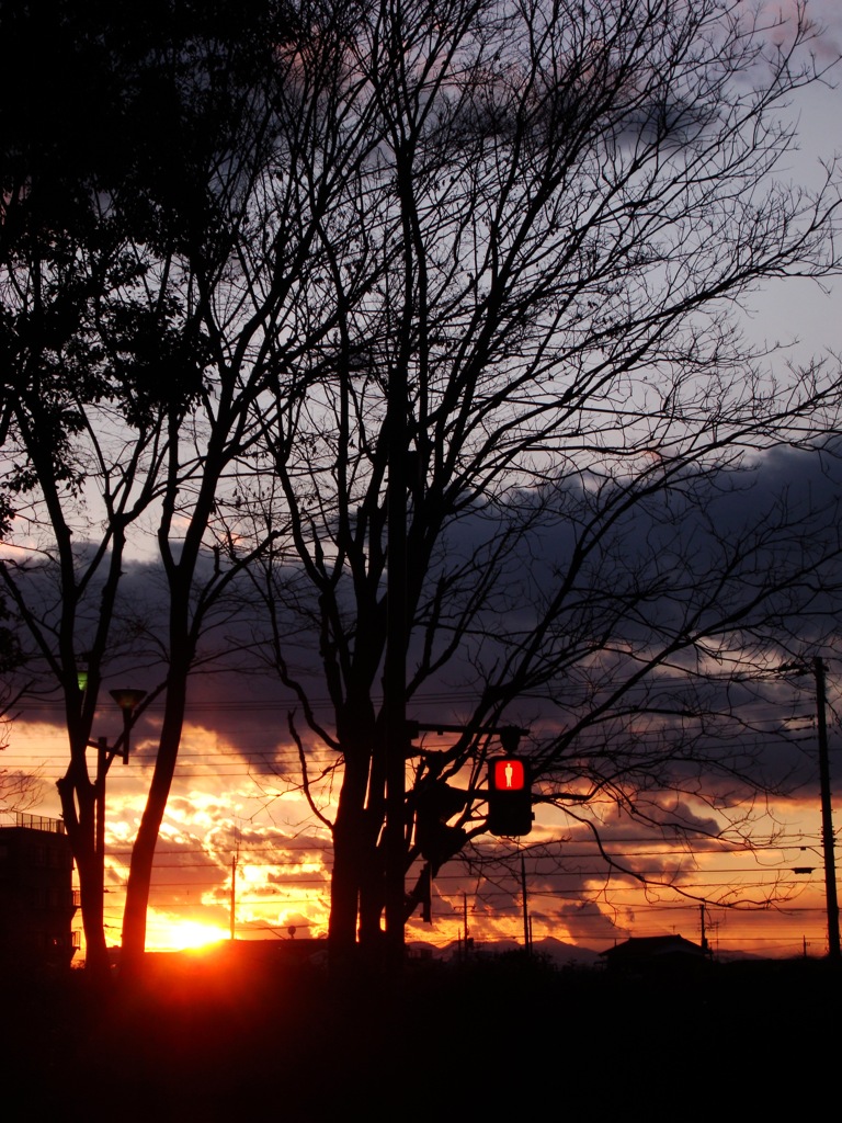 夕日