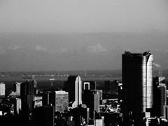 シロ　クロ　ヒルズ